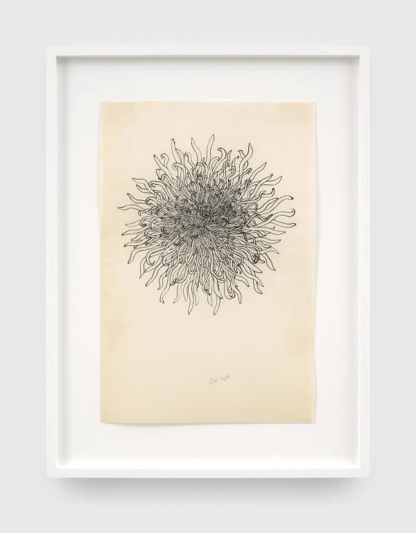Ruth Asawa — Untitled (P.022-I, Chrysanthemum)