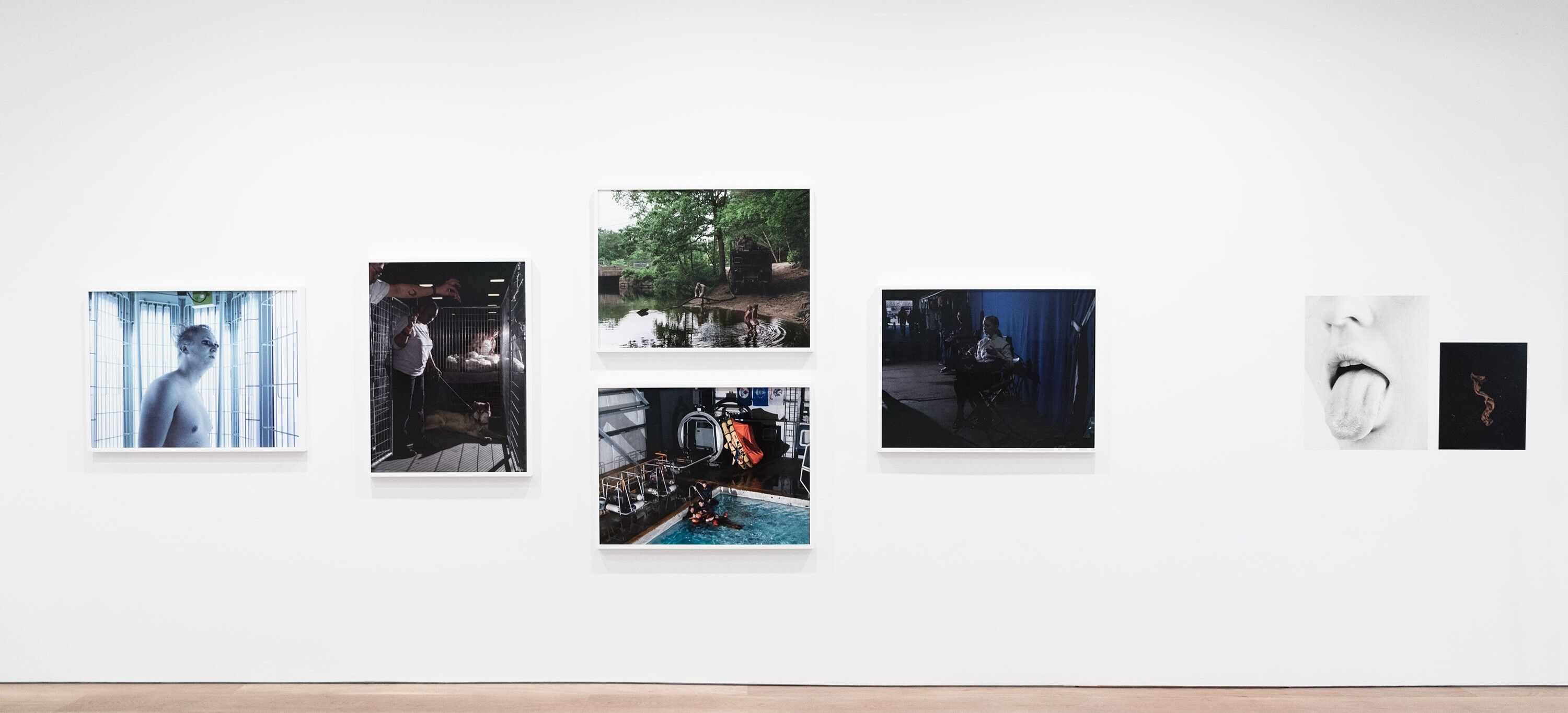 Installation view of the exhibition Unbecoming: Yale MFA Photography Thesis Show, at David Zwirner in New York, dated 2018.