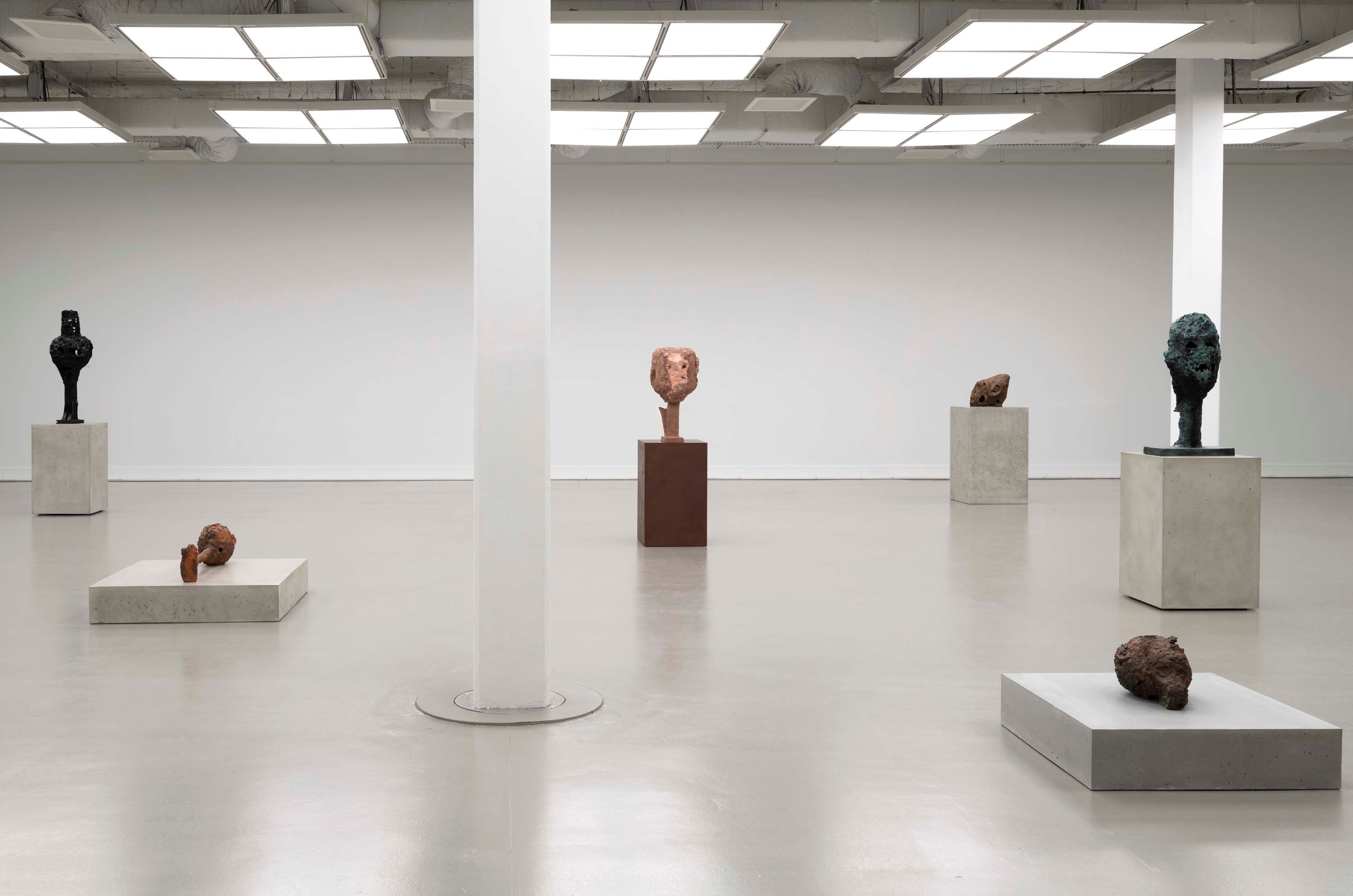 A fly appeared, and disappeared | David Zwirner