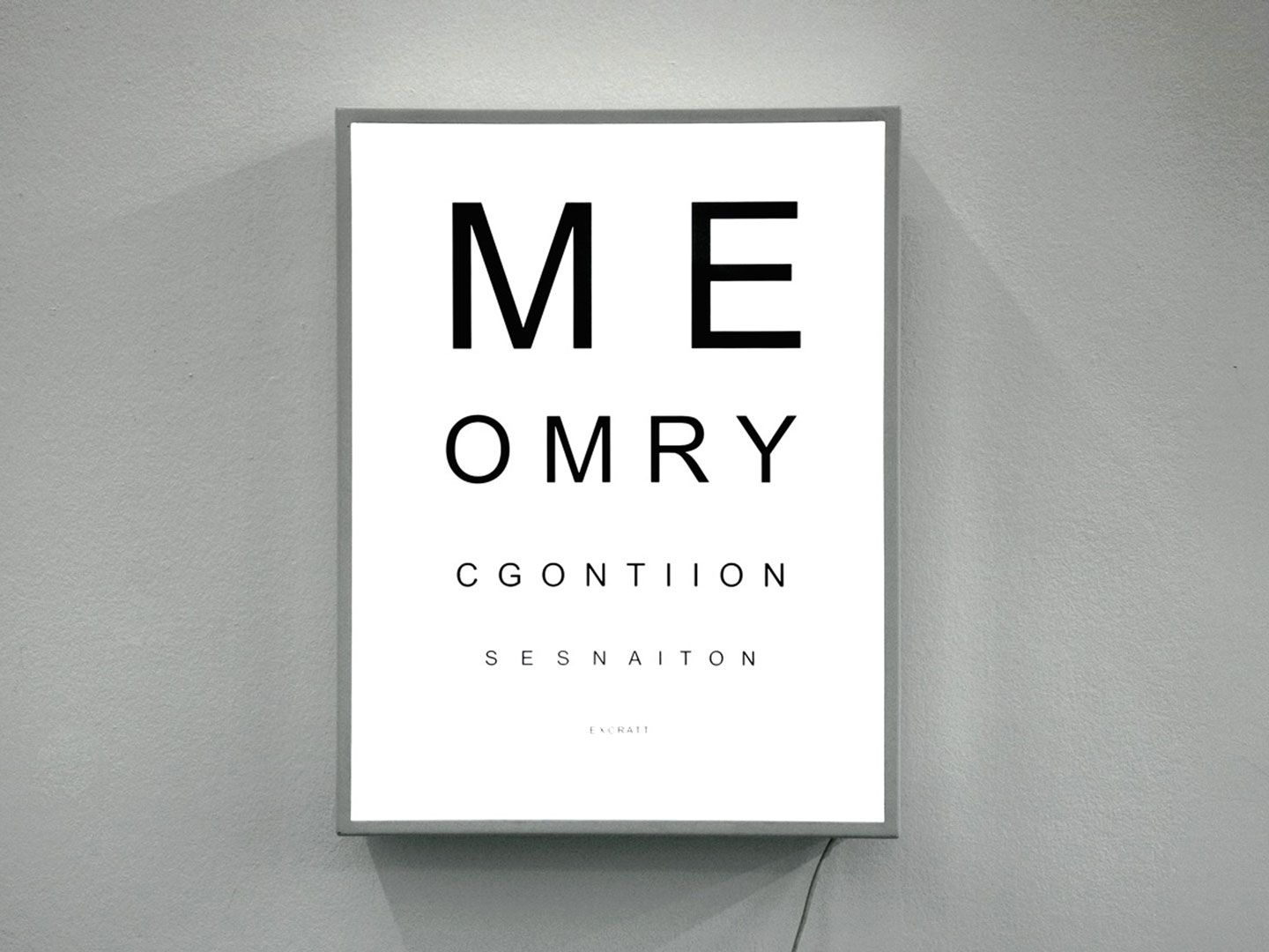 A sculpture by Shilpa Gupta, titled Eye Test, dated 2012.