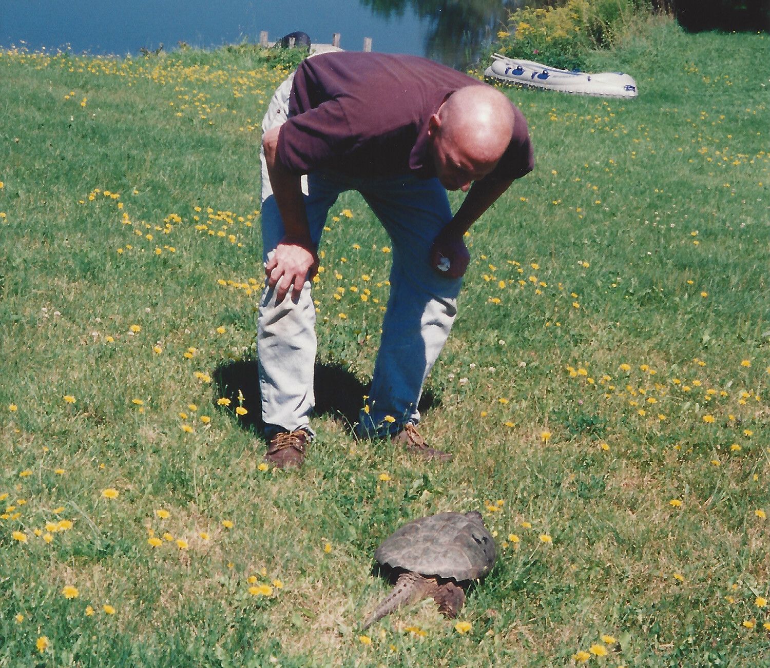 A photograph of Frank Moore with a snapping turtle at his home in in Deposit, New York, not dated