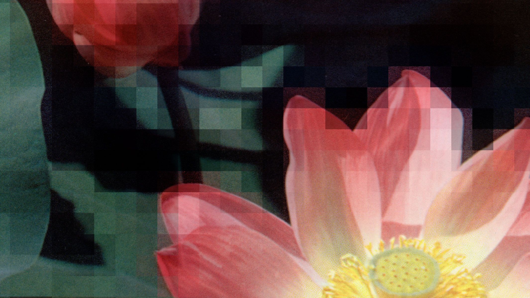 Studio: Thomas Ruff | David Zwirner