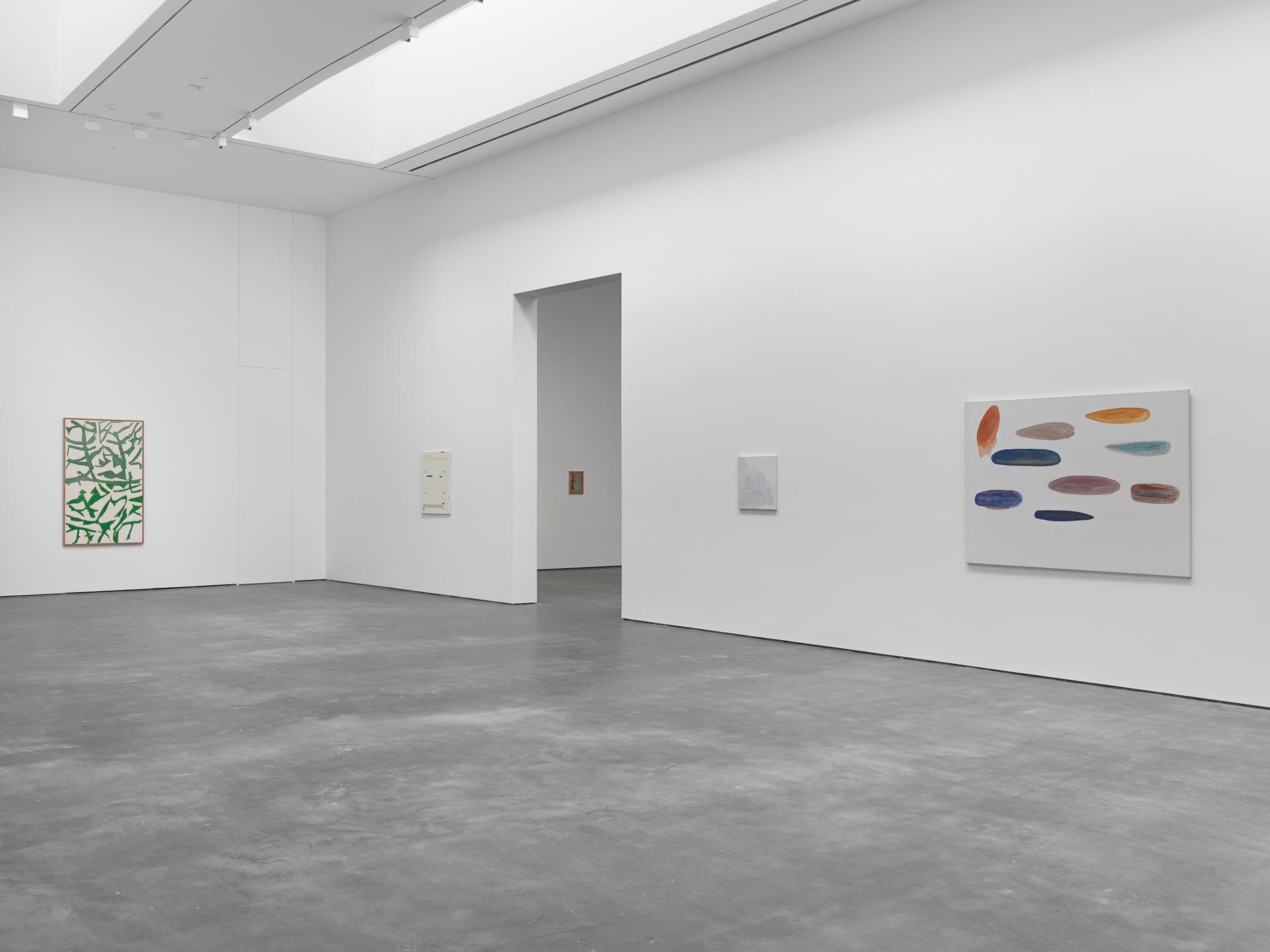 An installation view featuring woks by Raoul De Keyser, dated 2016