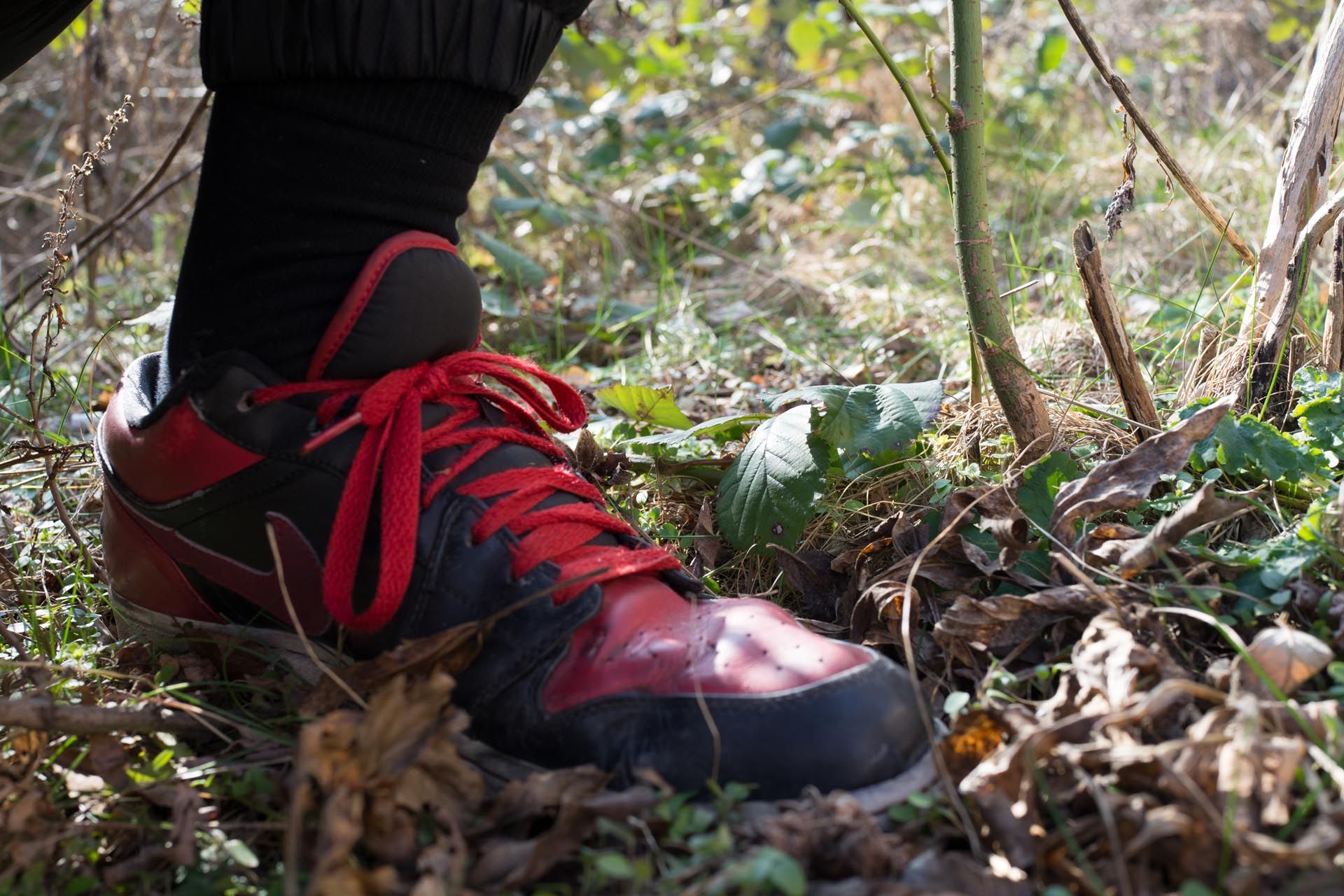 A photograph by Wolfgang Tillmans, titled shoe (grounded), dated 2014.