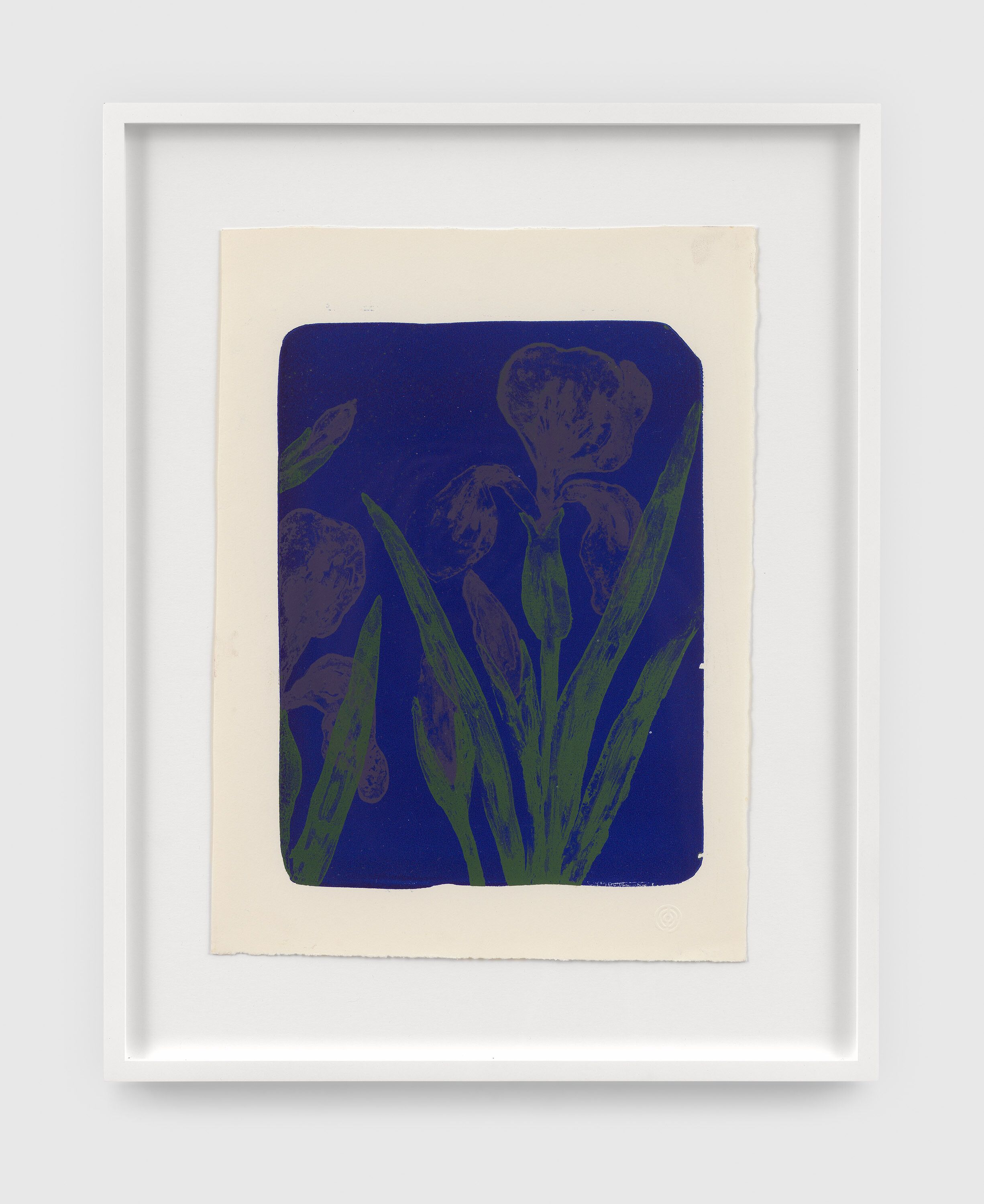 A print by Ruth Asawa, called Untitled (P.025-I, Irises (Experiment for Tamarind Lithography Workshop)), dated 1965.