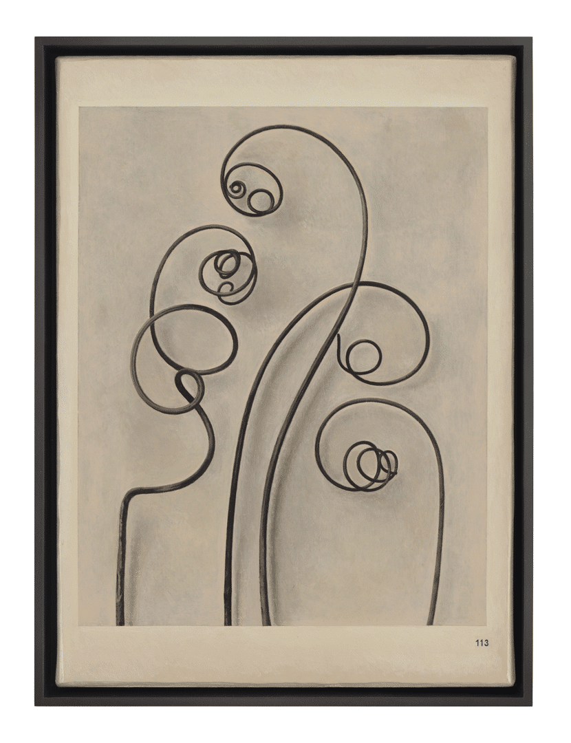 A painting by Liu Ye, titled Book Painting No. 25 (Karl Blossfeldt, Wunder in der Natur, H. Schmidt & C. Gruenter, Leipzig, 1942, Page 113), dated 2019.