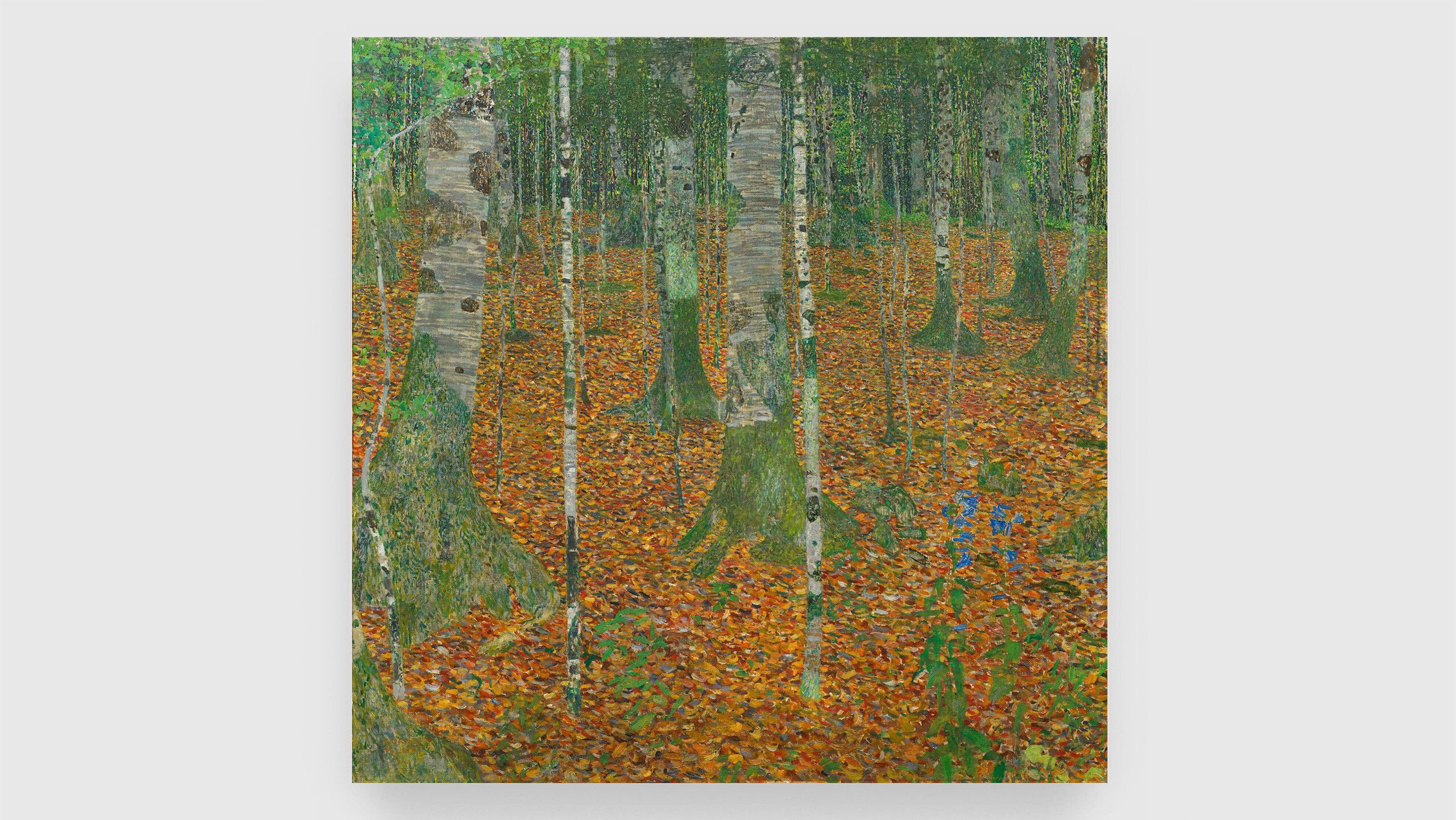This is a painting by Gustav Klimt titled Birch Forest, dated 1903.