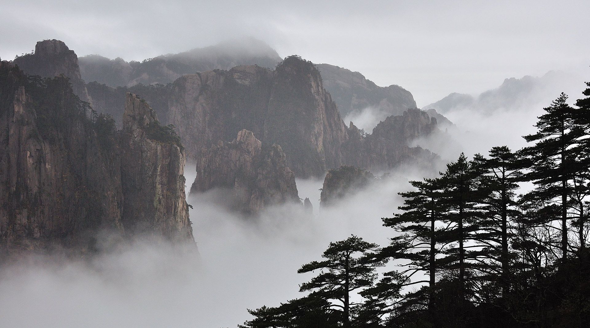 A view of the “sea of cloud” in Mount Huangshan.