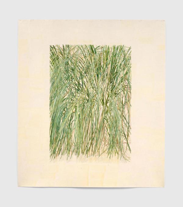 Toba Khedoori — Untitled