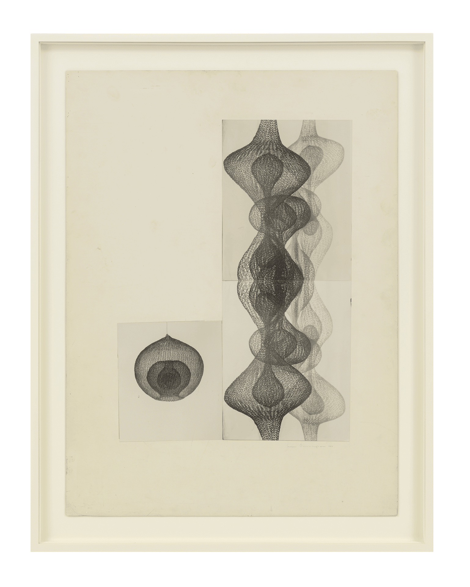 An untitled photograph by Imogen Cunningham, dated 1952.