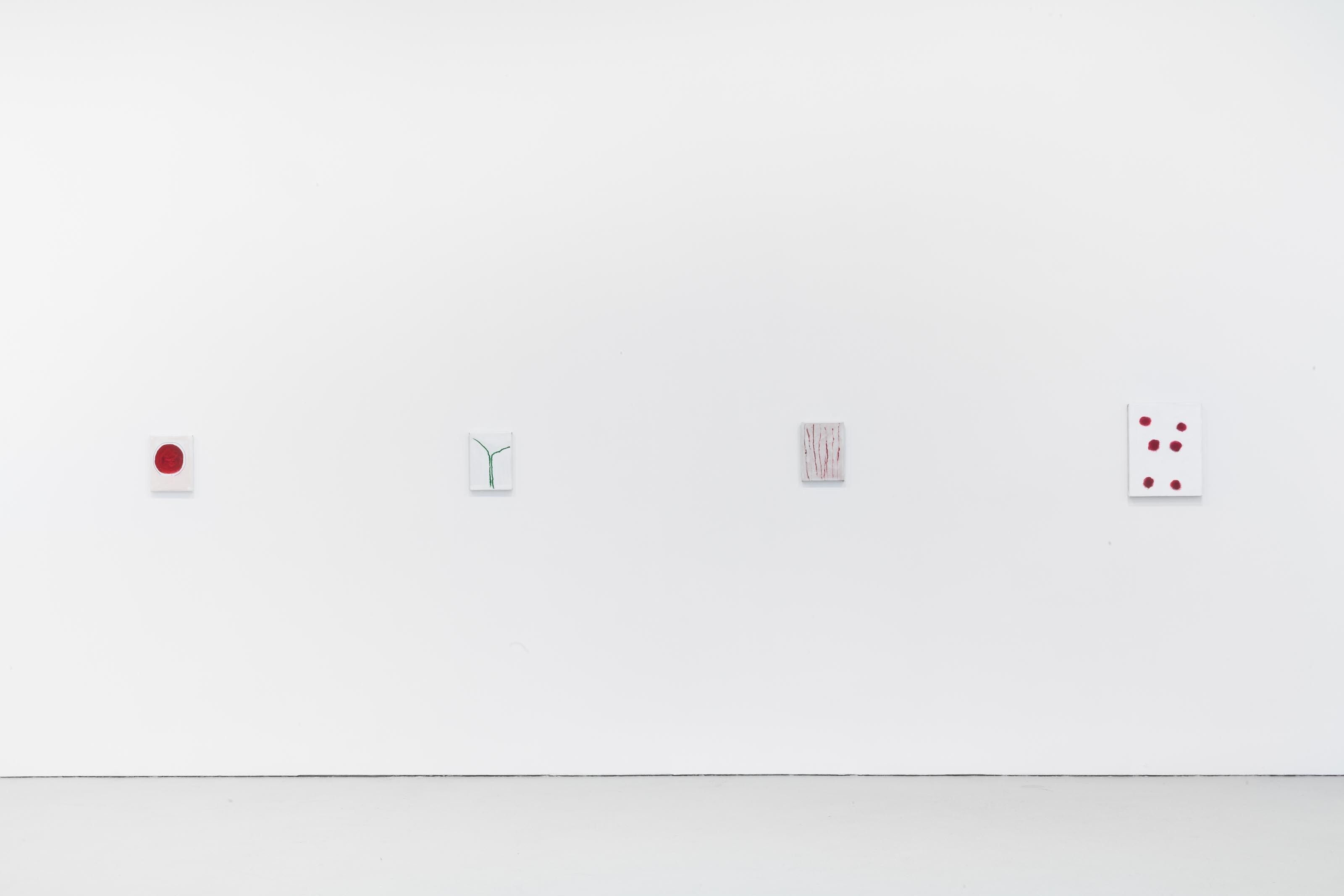 Installation view of the exhibition Raoul De Keyser: FREEDOM, at David Zwirner in New York, dated 2011. 