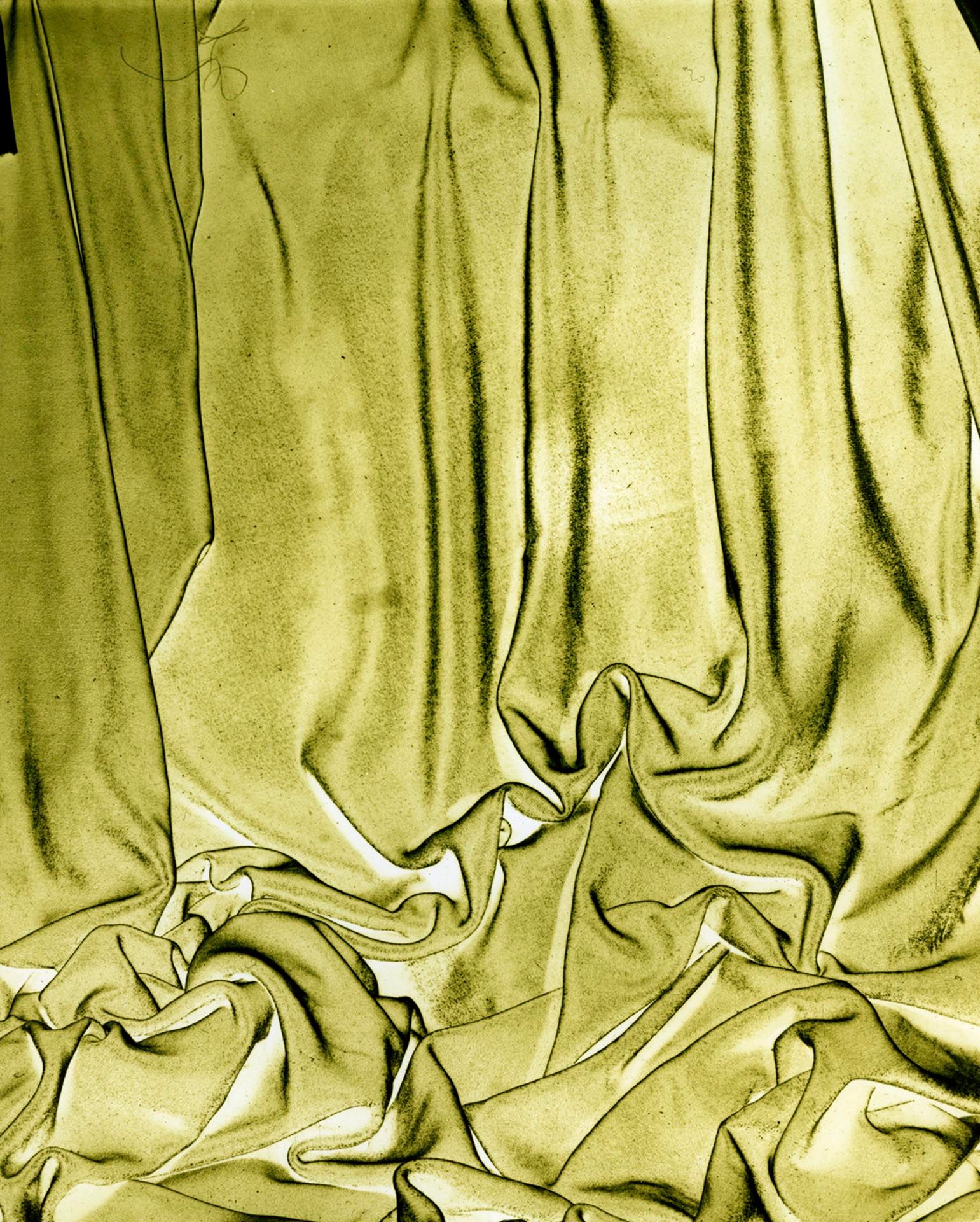 A photograph by James Welling, titled Whitman, dated 2006. 