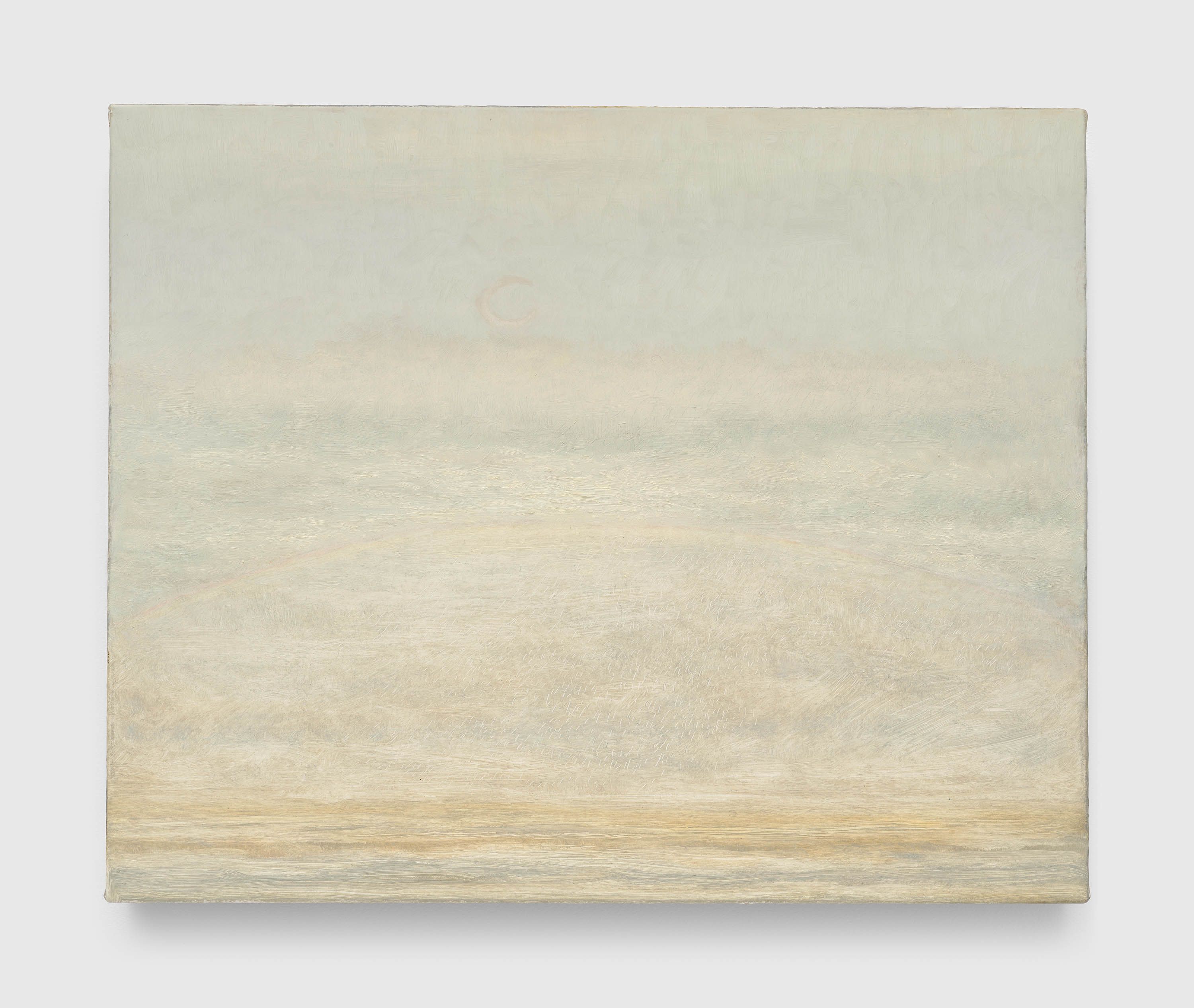 A painting by Lucas Arruda, called Untitled (from the Deserto-Modelo series), dated 2024.