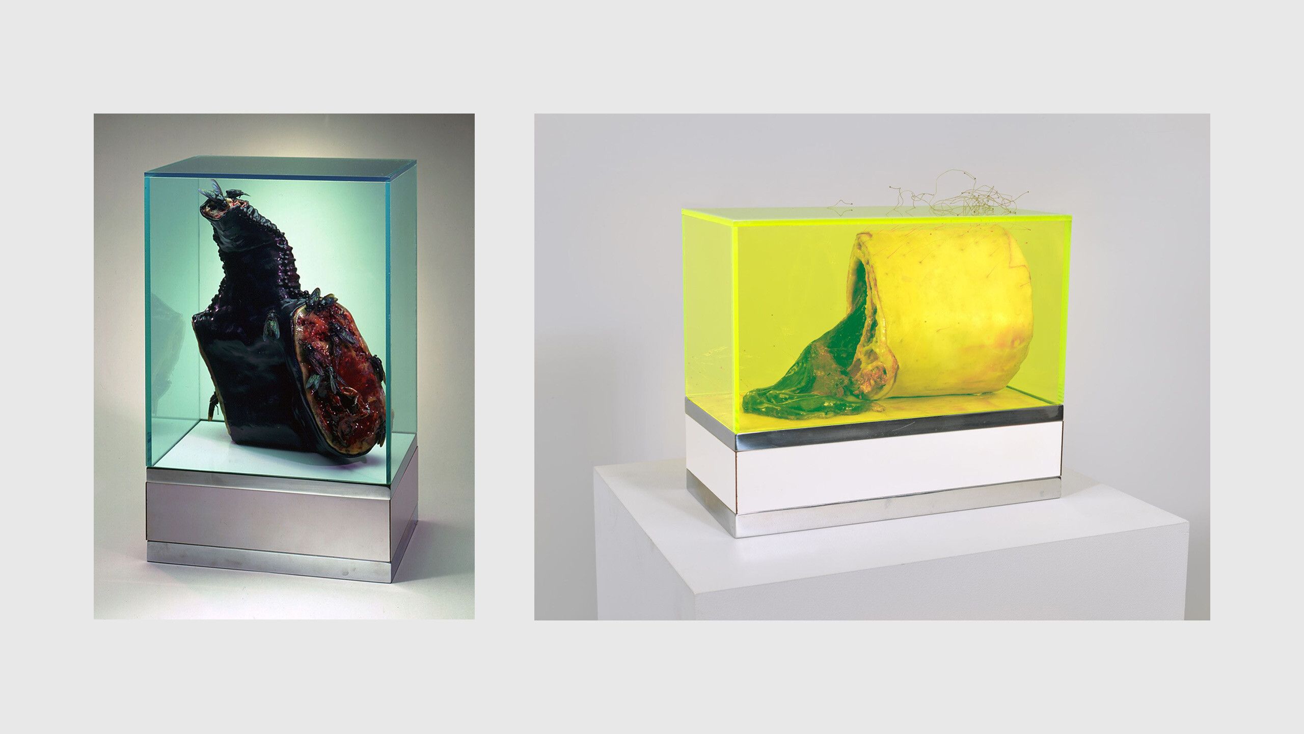 Meat pieces by Paul Thek, L-R: Untitled (Meat Piece with Flies), 1965. Collection of the Los Angeles County Museum of Art; Hippopotamus, 1965. Collection of the Walker Art Center, Minneapolis; Untitled, 1966. Collection of the Whitney Museum of American Art, New York"