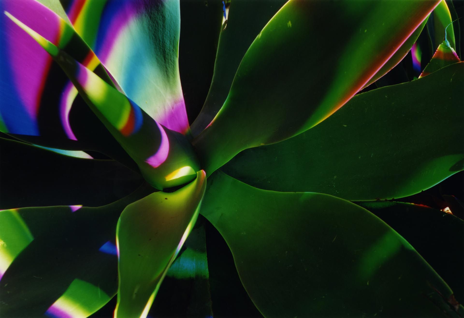 A photograph by James Welling, titled H2, dated 2006. 