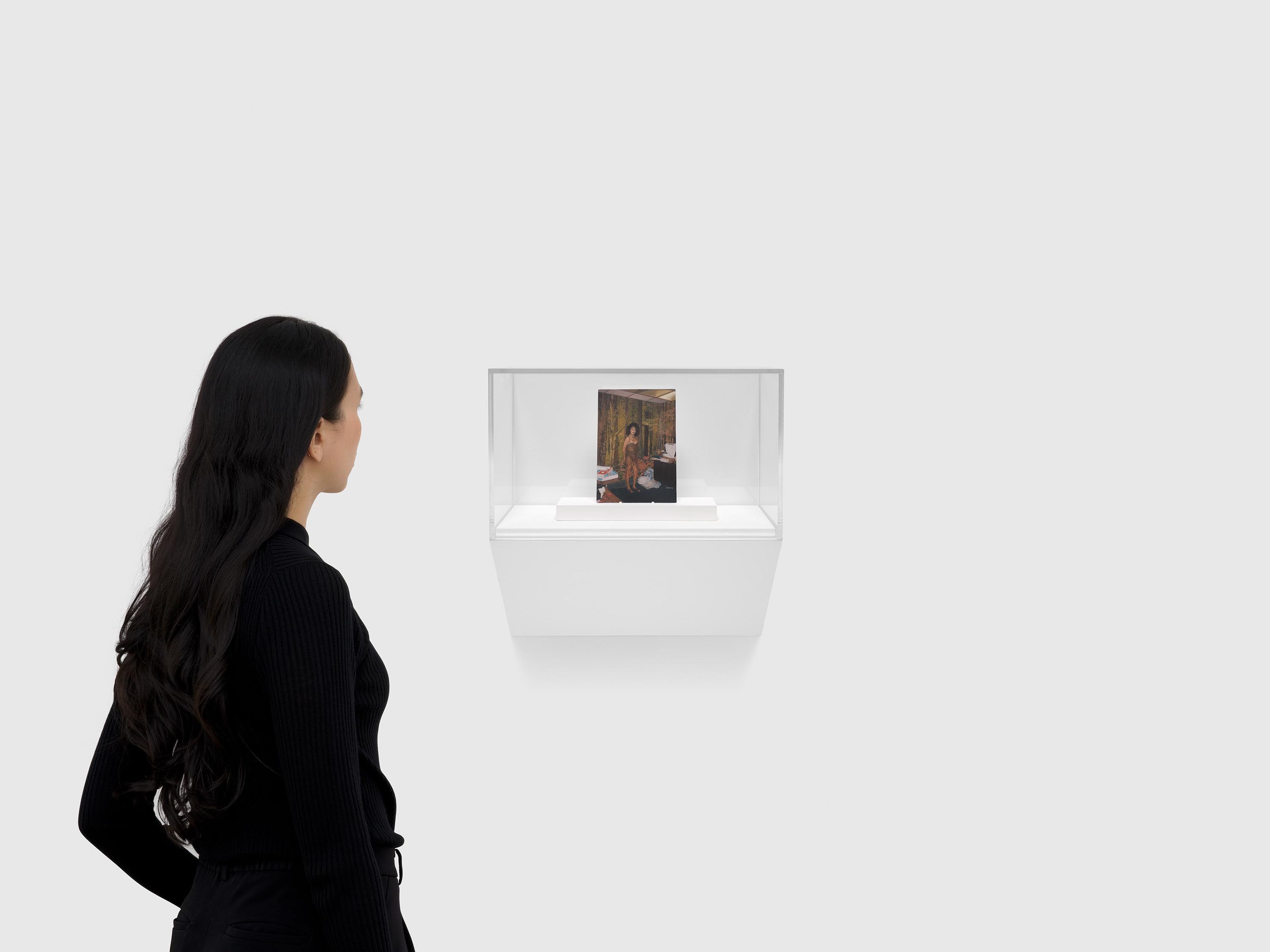 A painting by Elisheva Biernoff, titled The Wild, dated 2016.