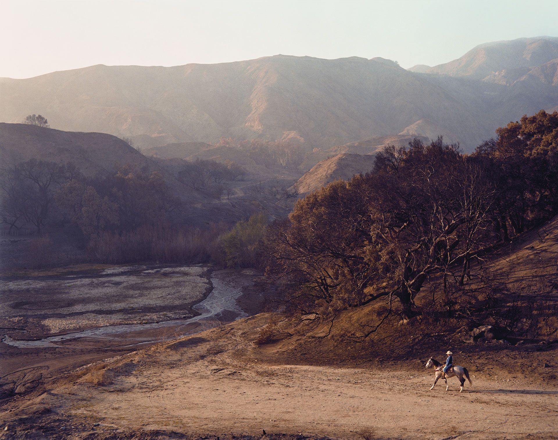 Philip-Lorca diCorcia - Artworks & Biography | David Zwirner