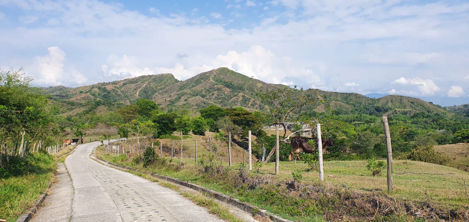 A view of La Paila, Colombia, 2020.
