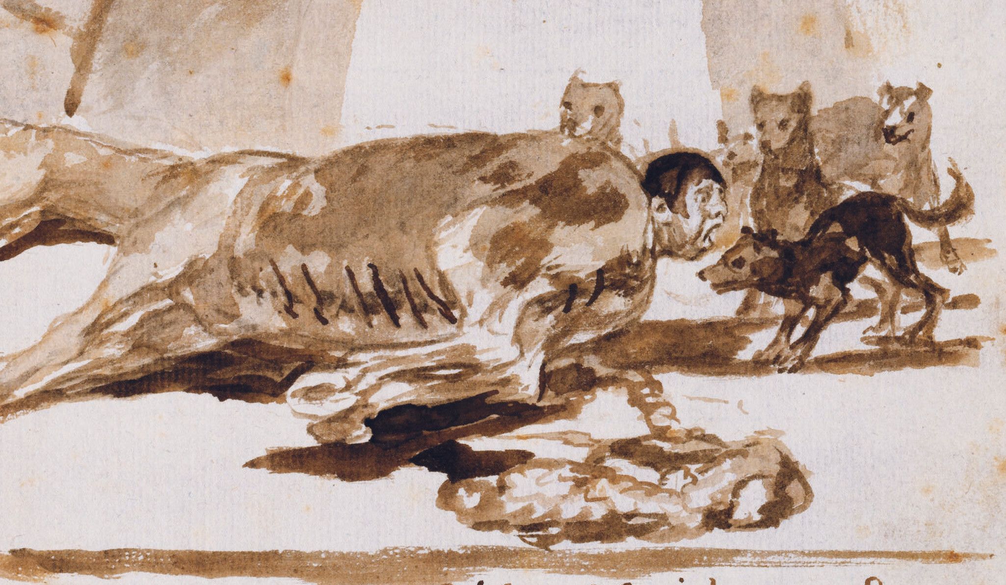 A detail view from a watercolor drawing by Francisco de Goya y Lucientes, titled Constable Lampiños stitched into a dead horse, undated