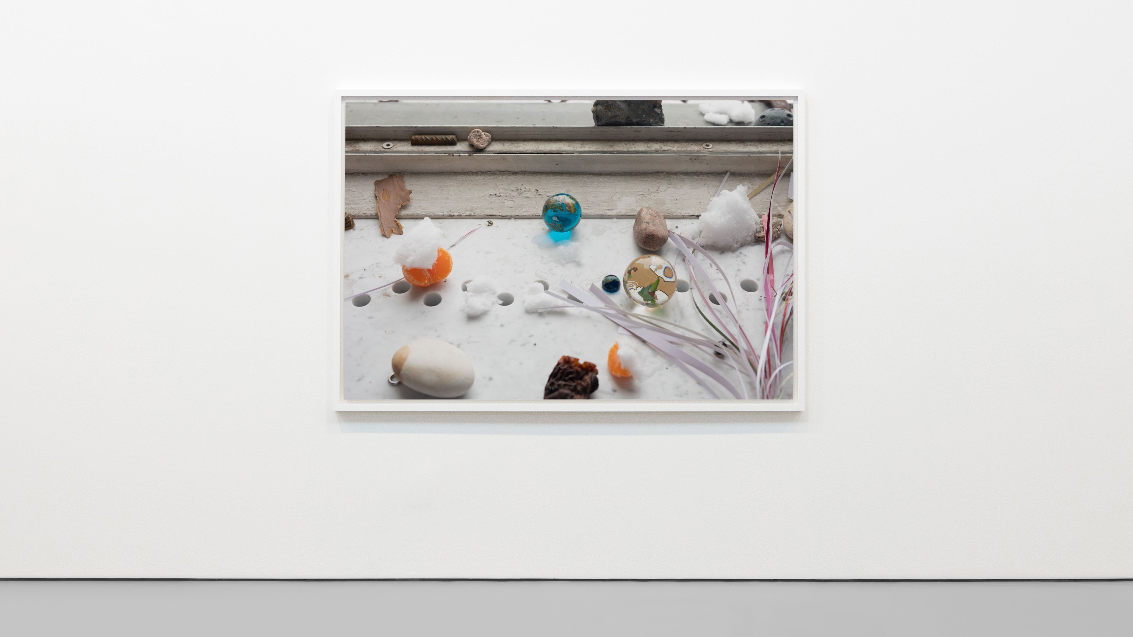 An inkjet print on paper mounted on Dibond aluminum in artist's frame by Wolfgang Tillmans, titled A Birch Seed, dated 2021.
