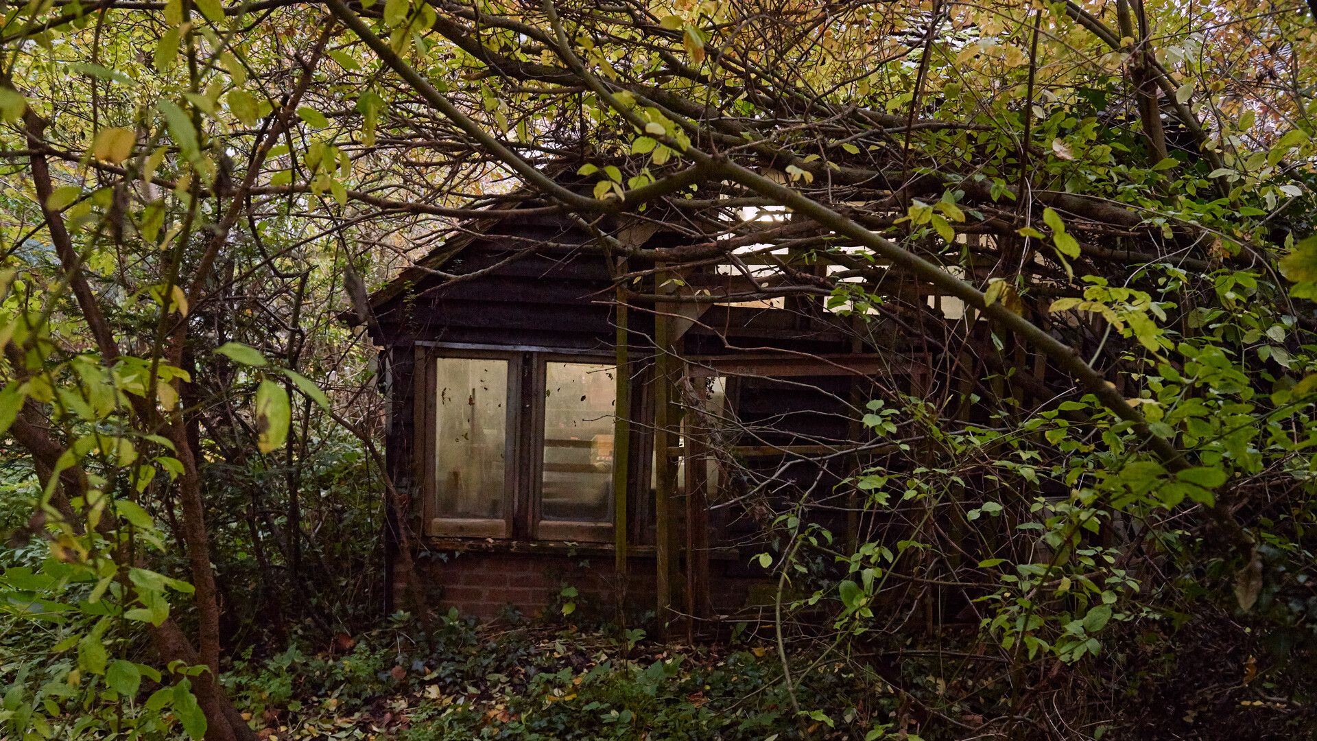 A photograph of Rose Wylie's studio, dated 2019