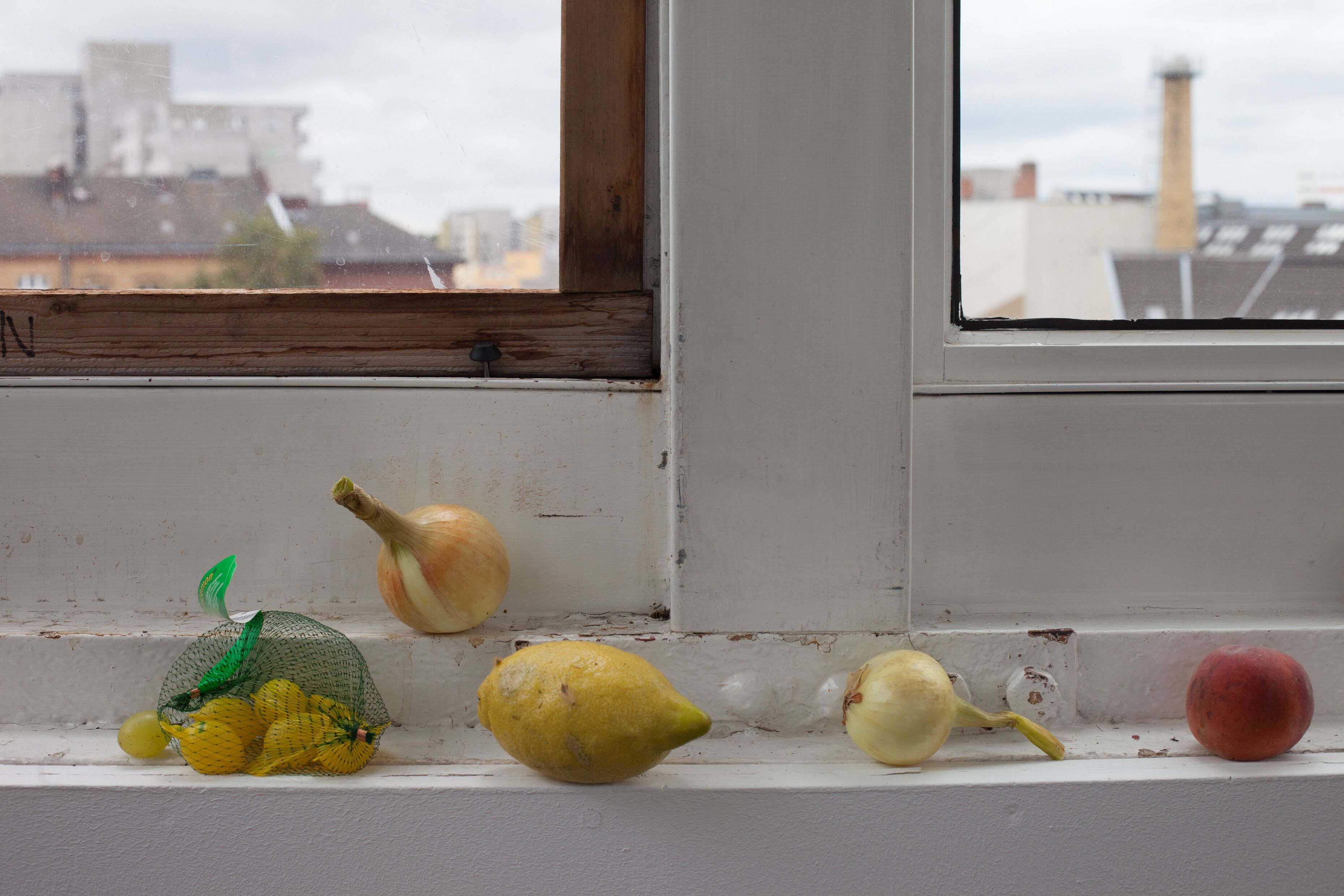 Wolfgang Tillmans - Artworks & Biography | David Zwirner