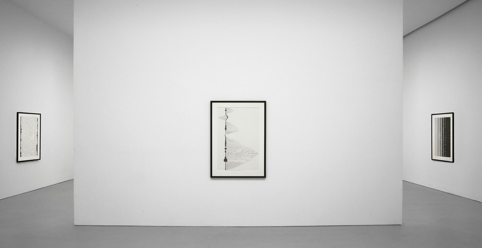 Installation view of the exhibition Chris Ofili: Afro Margin, at David Zwirner in New York, dated 2009. 