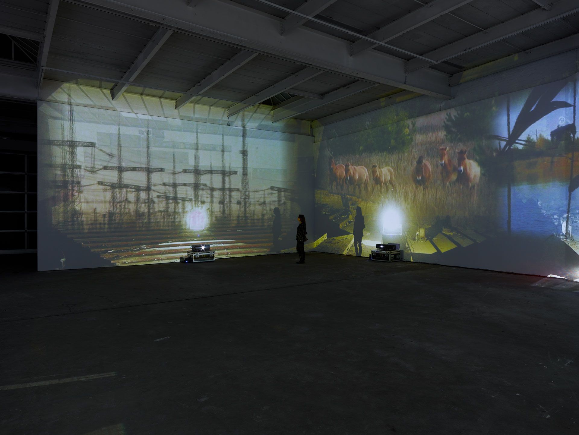 An installation view featuring Diana Thater: Chernobyl at David Zwirner, New York, dated 2012