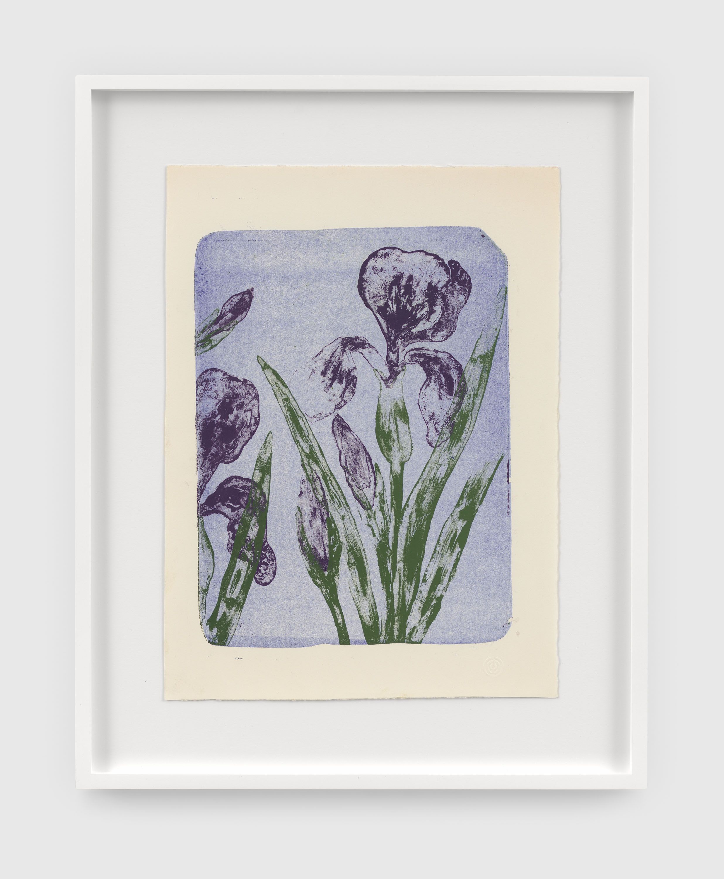 A print by Ruth Asawa, called Untitled (P.025-II, Irises (Experiment for Tamarind Lithography Workshop)), dated 1965.