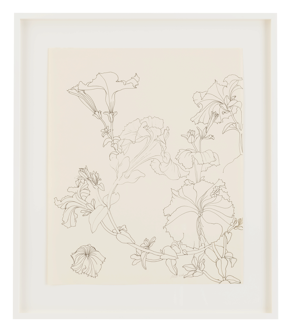 An undated pen and ink drawing on paper by Ruth Asawa, titled, Untitled (PF.609, Petunias). 