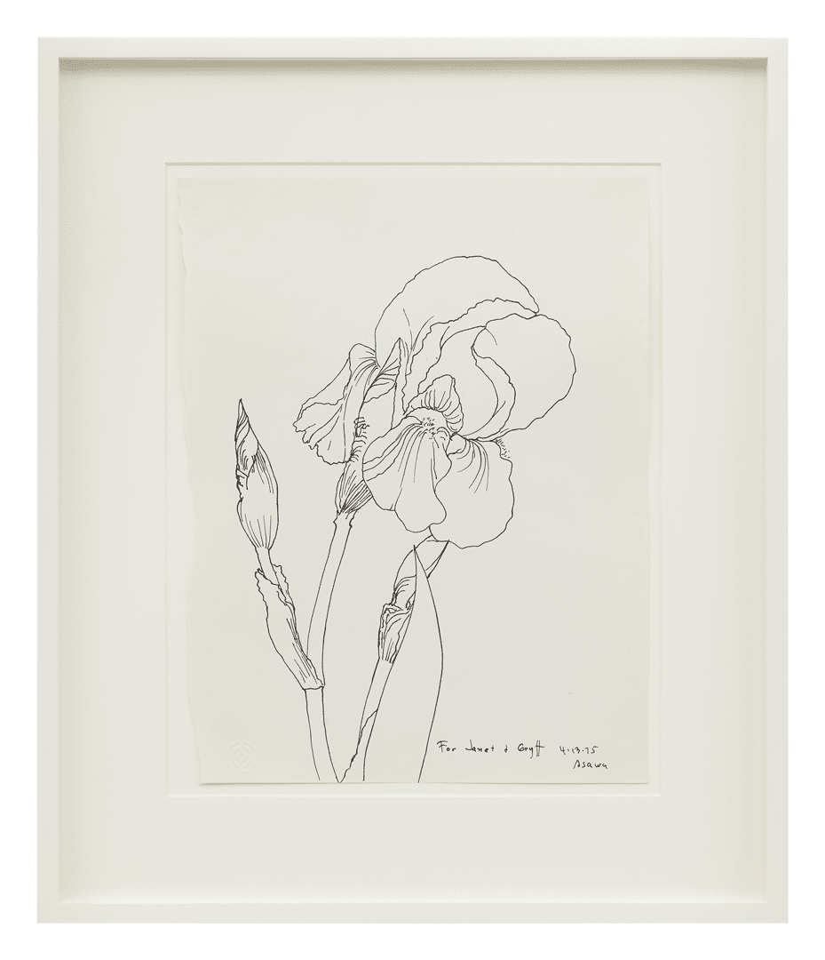 A pen and ink drawing on paper by Ruth Asawa, titled Untitled (PF.1113, Iris stem), dated 1975.