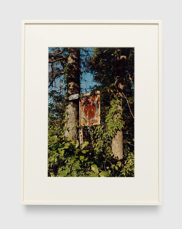 William Eggleston — Untitled