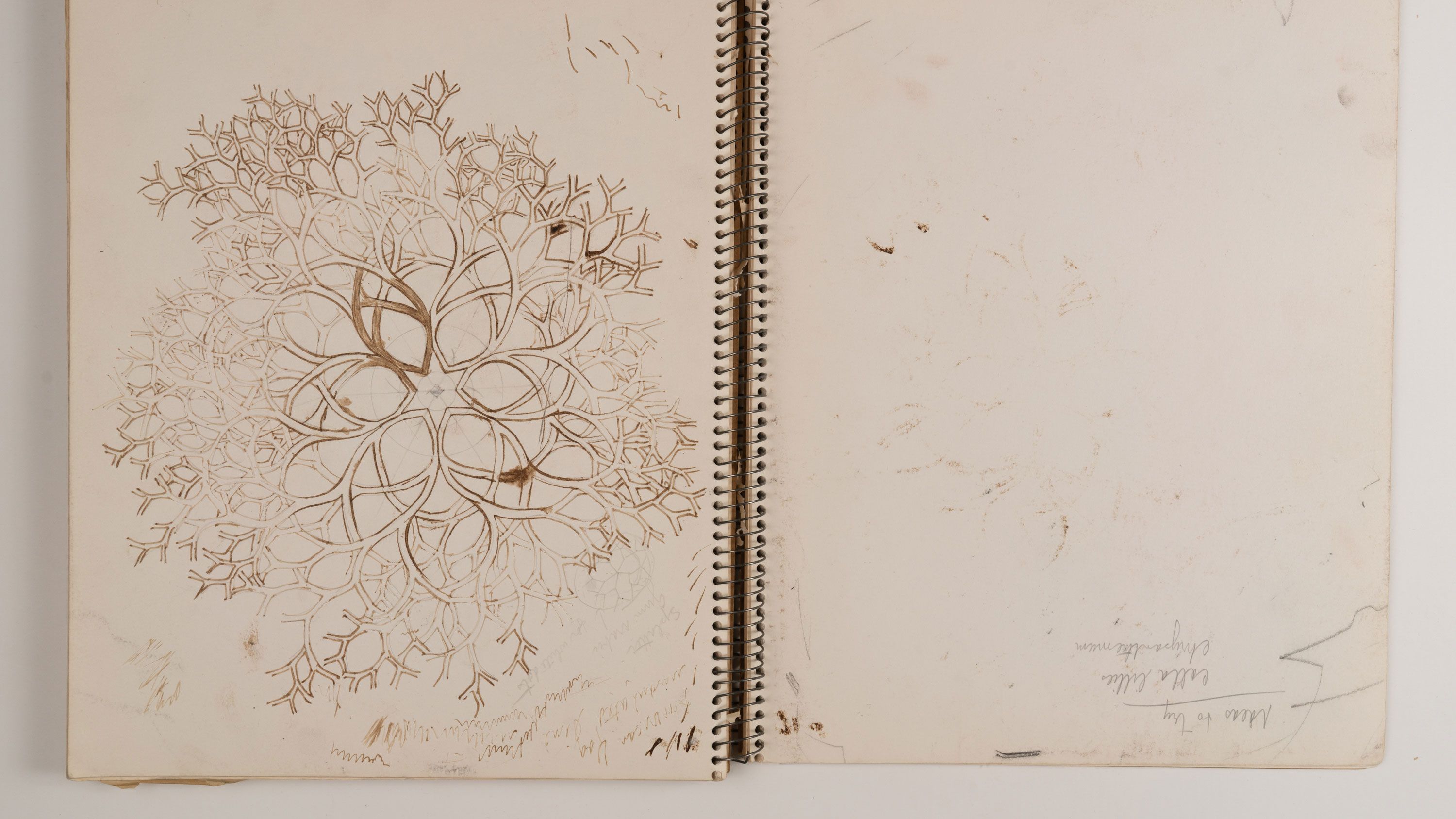 Ruth Asawa's notebook