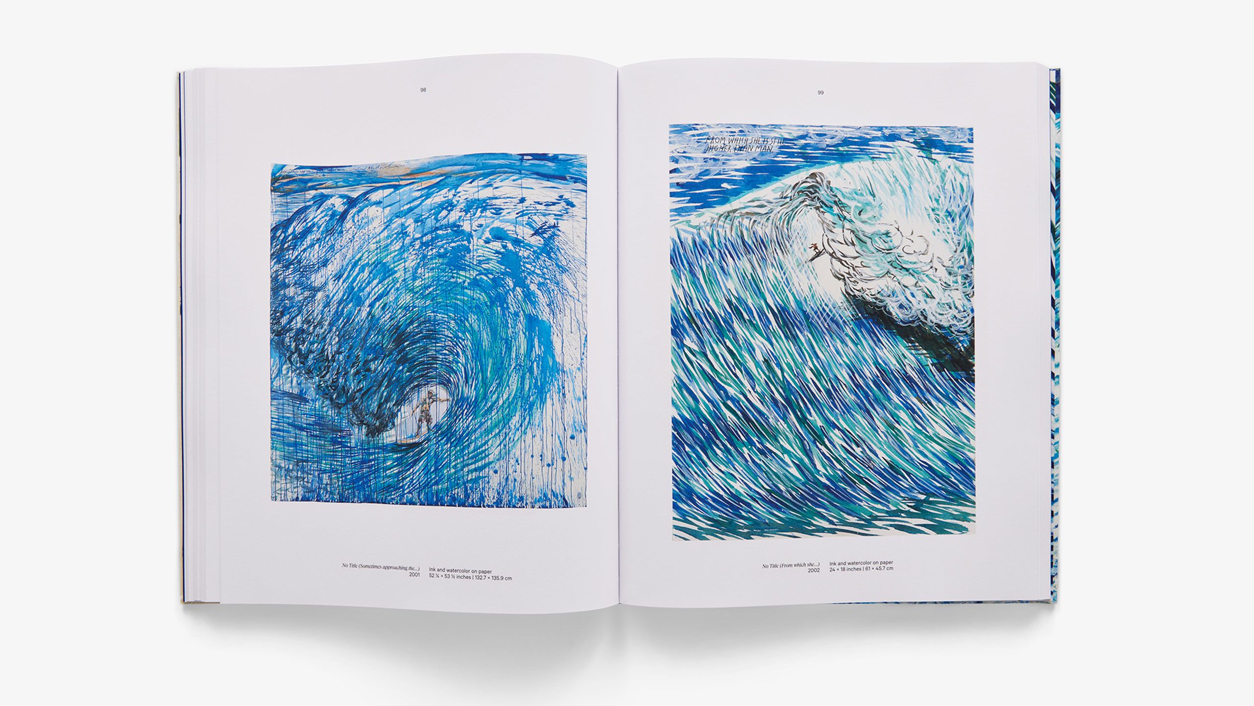 Point Break: Raymond Pettibon, Surfers and Waves (David Zwirner Books, 2022)