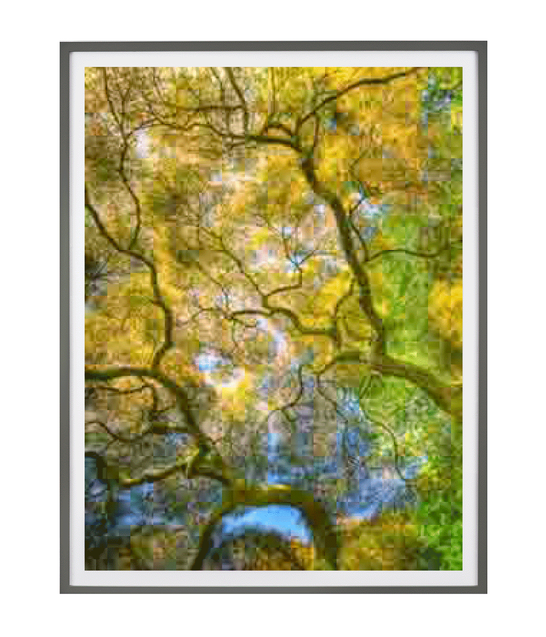 A photograph by Thomas Ruff, titled jpeg tr05, dated 2019.