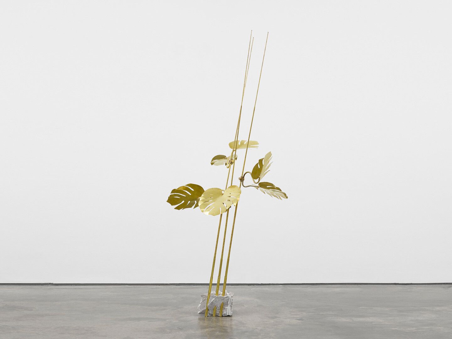 A sculpture by Elaine Cameron-Weir titled In Martinique the root of Monstera Deliciosa is used to make a remedy for snakebite, dated 2015.