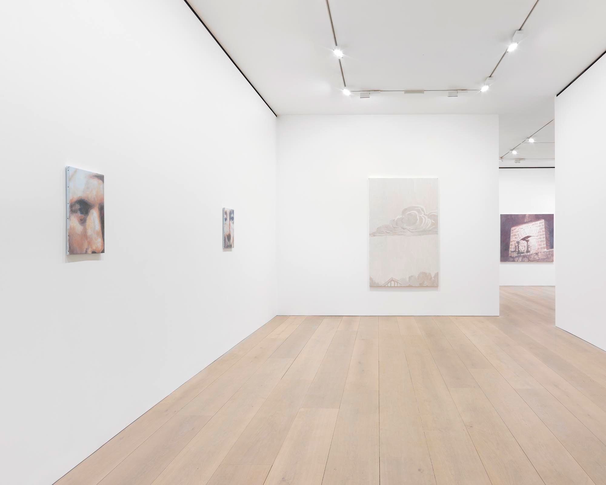 Installation view of the exhibition Luc Tuymans: The Shore, at David Zwirner in London, dated 2015.