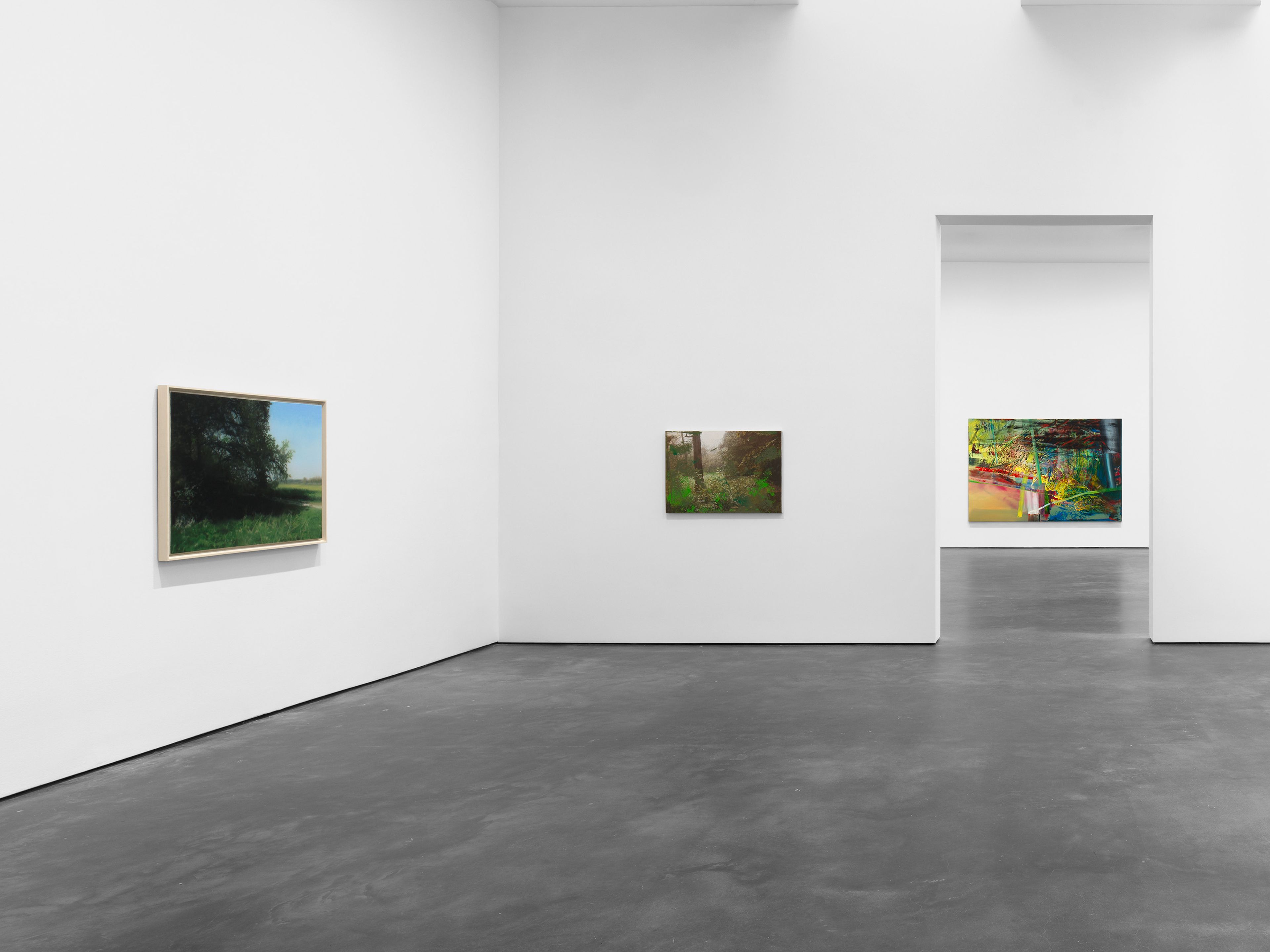 An installation view of the exhibition, Gerhard Richter: Landschaften, at David Zwirner in New York, dated 2026.