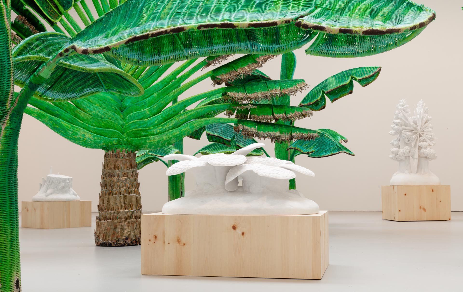 Installation view of the exhibition Yutaka Sone: ISLAND, at David Zwirner in New York, dated 2011.