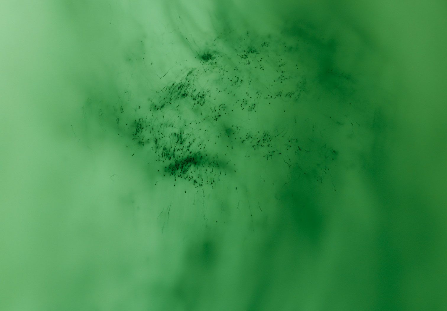 A detail of a photograph by Wolfgang Tillmans, titled Greifbar, dated 2015