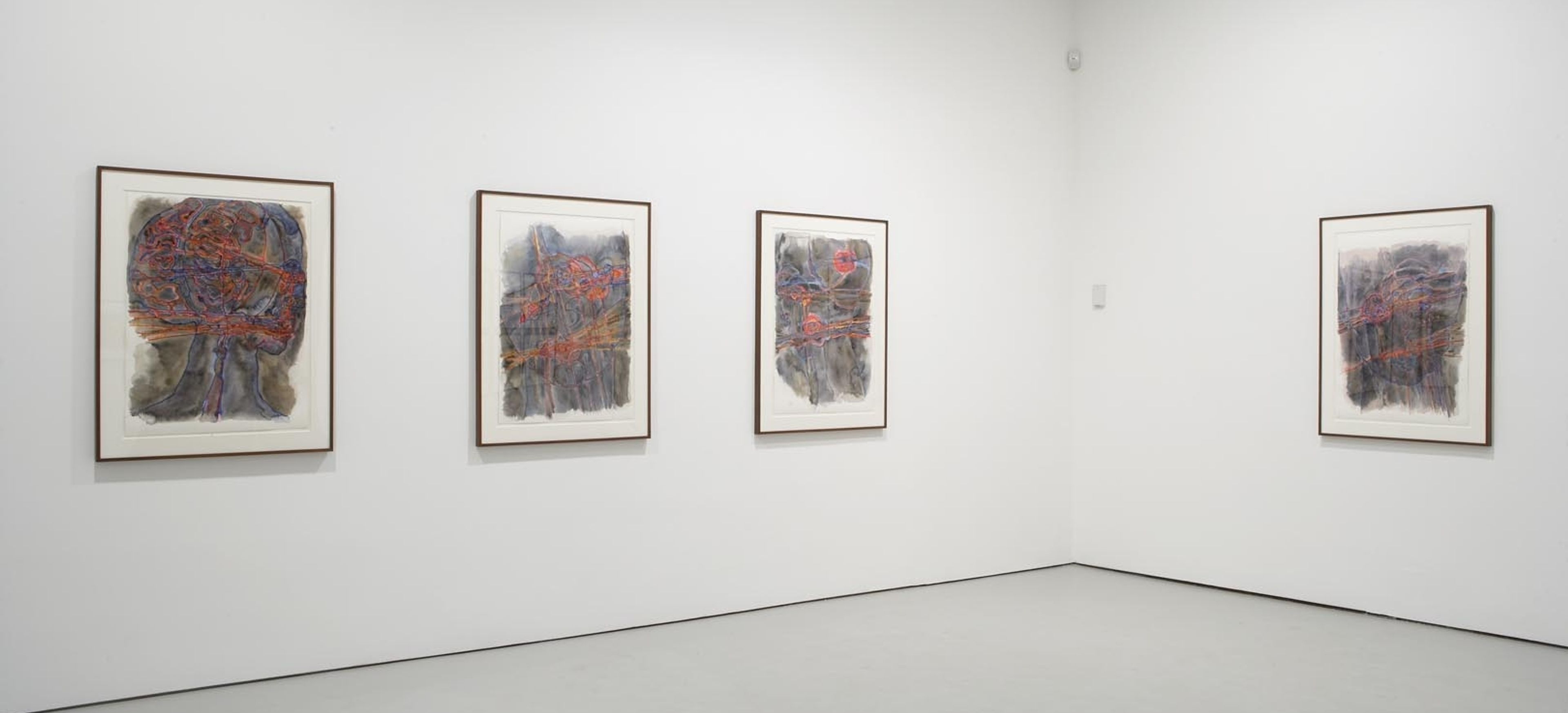 Installation view of the exhibition Katy Schimert: The Monster at David Zwirner in New York, dated 2008. 