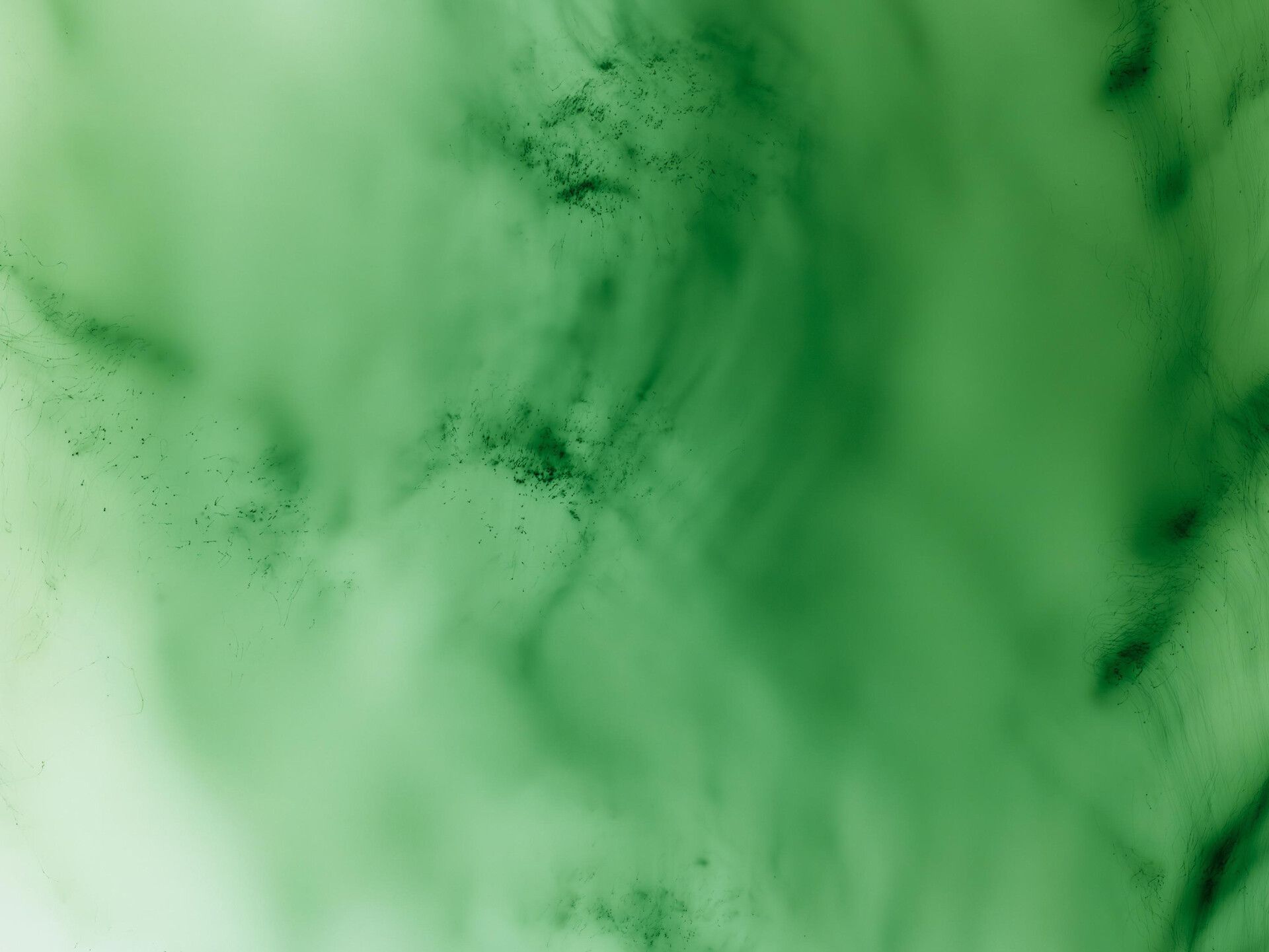 A photograph by Wolfgang Tillmans, titled Greifbar 20, dated 2015