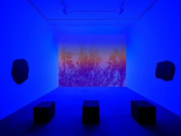 Cauleen Smith — Congo Blue, 2026; All the Stars are Closer, 2026; All the Stars Approach You, 2025