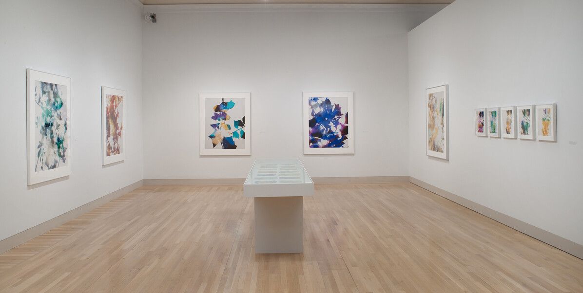 An installation view of a solo exhibition by James Welling, titled Monograph, at the hammer Museum in 2013.