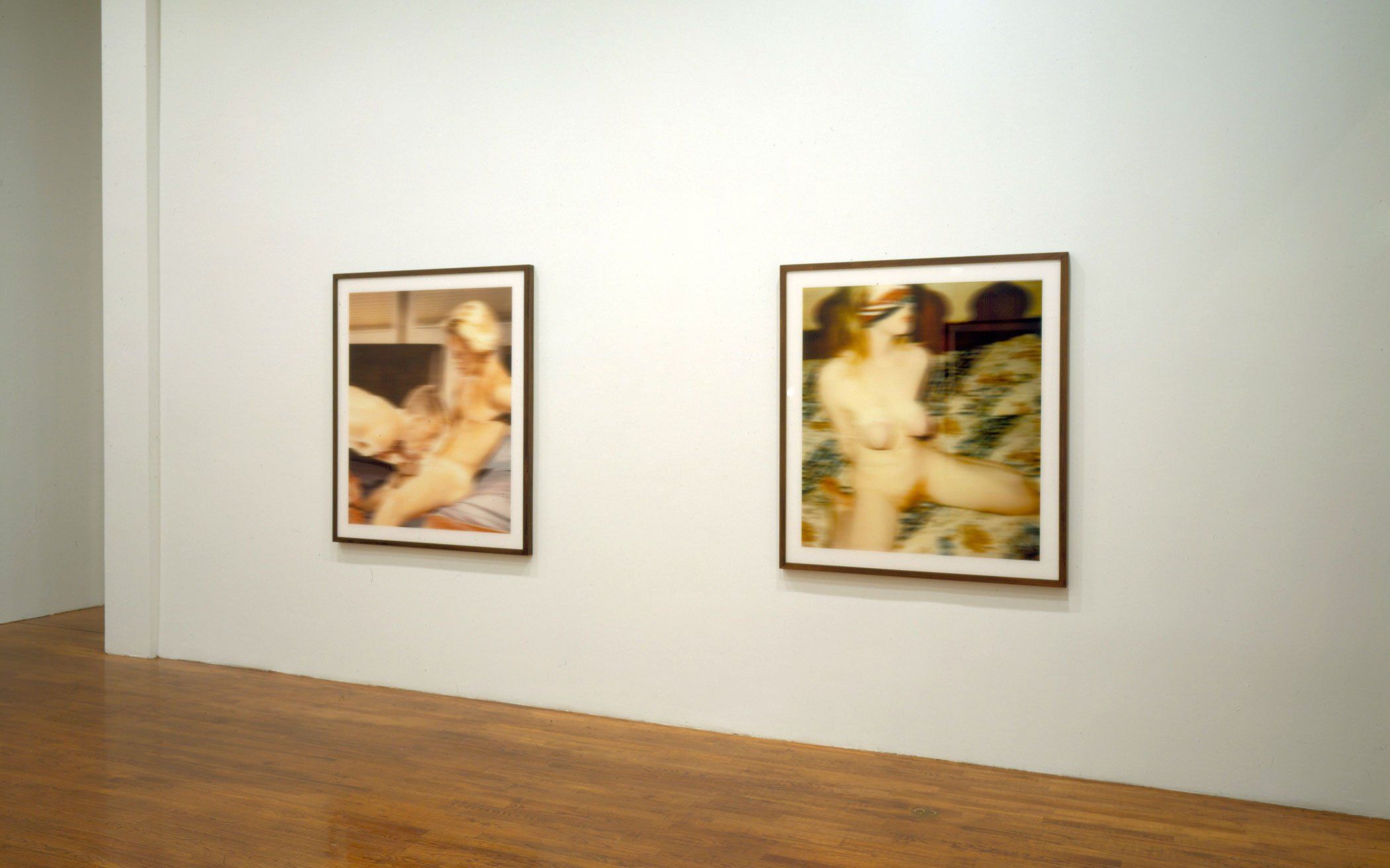 An installation view of the exhibition Thomas Ruff: Nudes, at David Zwirner New York, dated 2000.