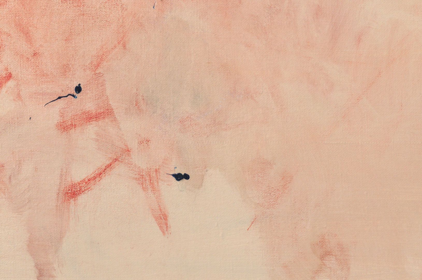 A detail of an painting by Raoul De Keyser titled Front, dated 1992.