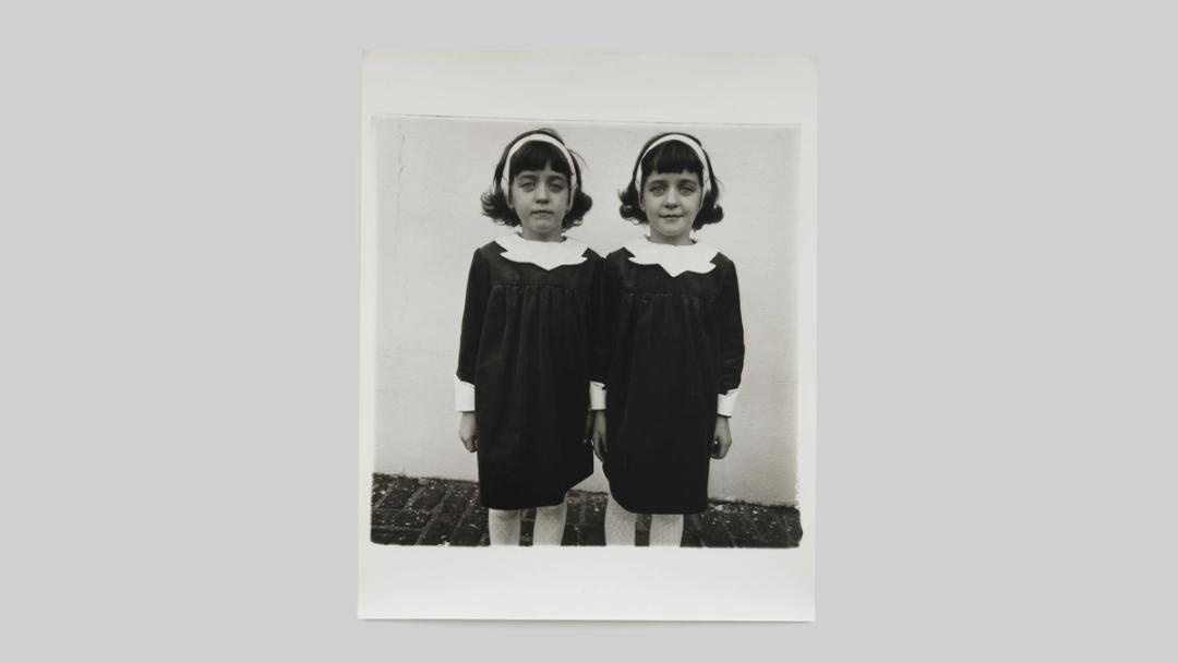 Dialogues On Diane Arbus With Francine Prose David Salle And Neil dialogues-on-diane-arbus-with-francine-prose-david-salle-and-neil