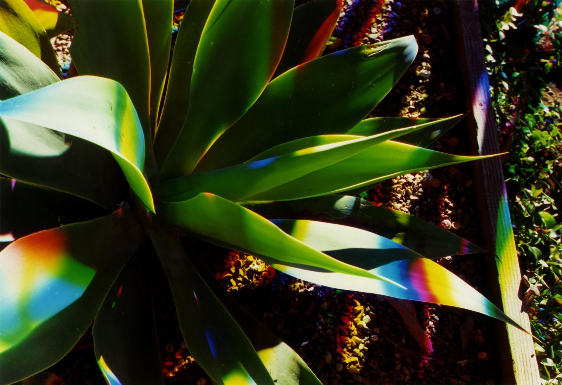 A photograph by James Welling, titled H3, dated 2006.
