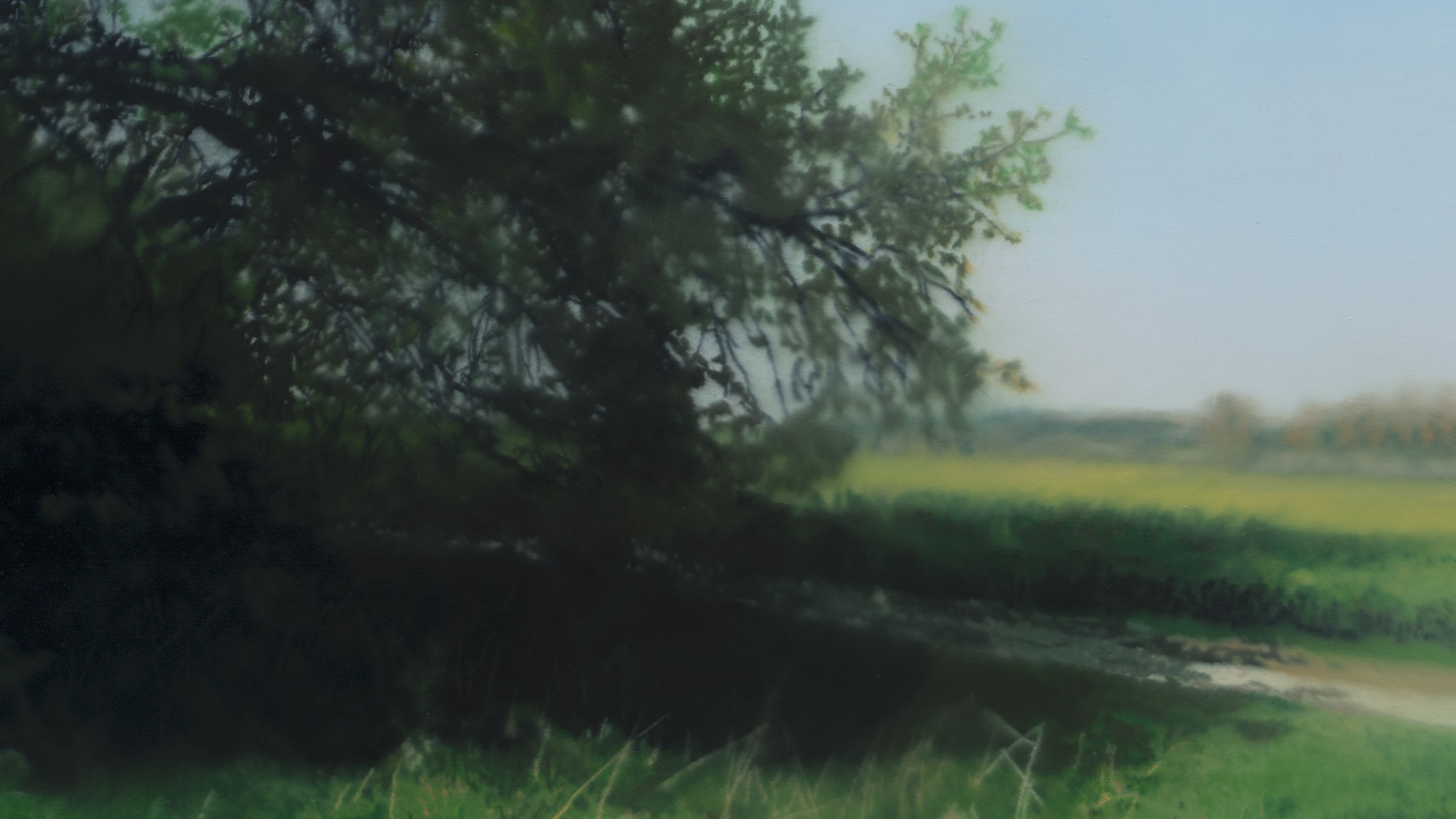 Gerhard Richter: Landschaften — David Zwirner
