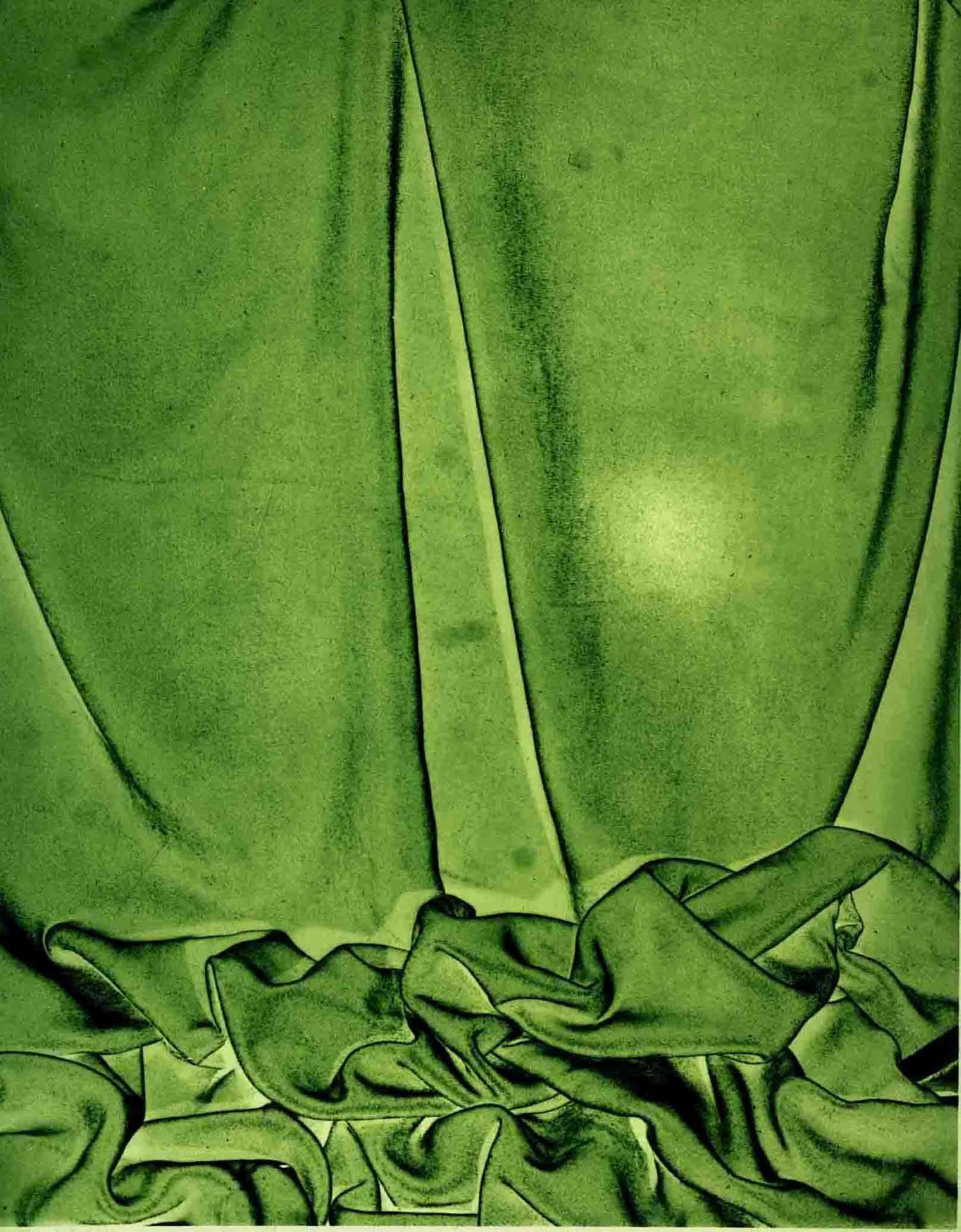 A photograph by James Welling, titled Hawthorne, dated 2006. 